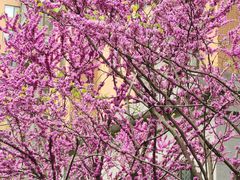 -孟记粥铺·家常菜·烧烤·粥(亚运村店)