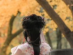 -汇龙潭