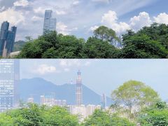 -莲花山公园