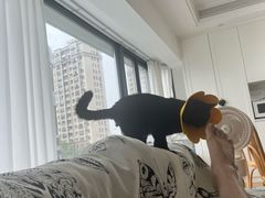 -萌兽医馆·宠物医院·猫骨科(创景店)