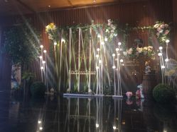 -M'S BANQUET AND SPACE ART