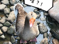 -上海千禧海鸥大酒店