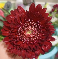 -Oasis Beauty水磨坊科技美肤中心