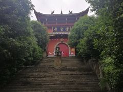 -铁山坪森林公园