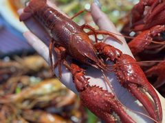 -二钳洞庭虾蟹·江湖菜(鹭岛店)