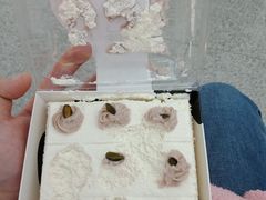 -皇家美孚(麦岛店)