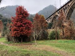 -贵阳市花溪国家城市湿地公园