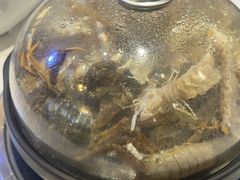 -半岛听涛蒸汽海鲜自助(K11店)