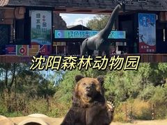-沈阳森林动物园