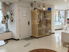 -共舞时光猫咖·狗咖(新街口店)