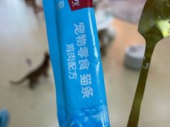 -喵宠乐园·撸猫互动·猫舍