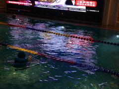 -水晶之星洗浴温泉汗蒸