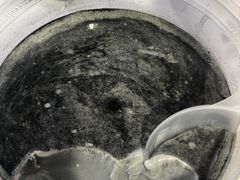 -西安外国语大学-学生食堂(栾树大道店)
