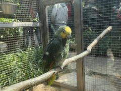 -大连森林动物园