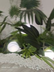 -HEYAN荷妍专业脱毛连锁机构