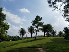 -美兰湖景区