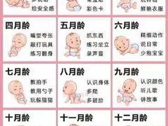 -乐融婴幼儿成长中心(四季青校区)