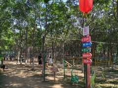 -草根堂农场