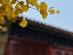 -承恩寺