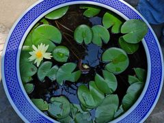 -晋祠博物馆