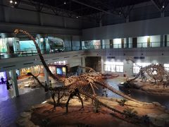 -自贡恐龙博物馆