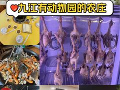 -龙回山庄