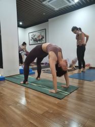 -兴亚瑜伽20年老馆