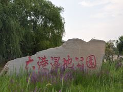 -大港湿地公园