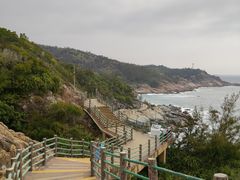 -广东惠东海龟国家级自然保护区