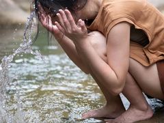 -广州白江湖森林公园