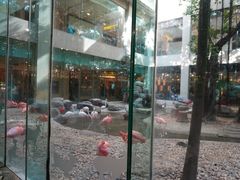 -白虎自助餐厅·真老虎·景观自助餐厅(广州长隆酒店)
