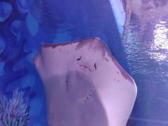 -上海海昌海洋公园