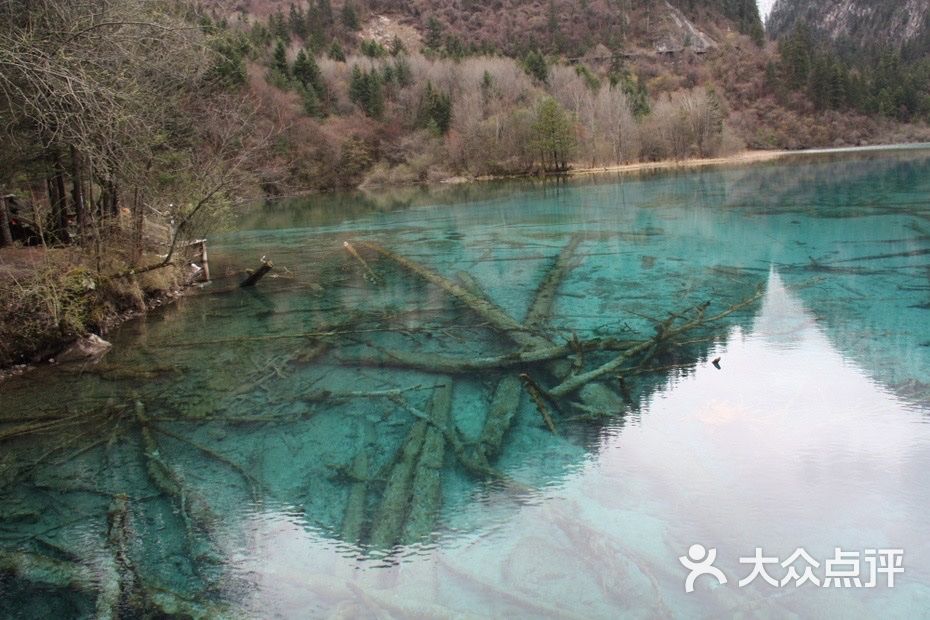 五花海-圖片-九寨溝縣周邊遊-大眾點評網