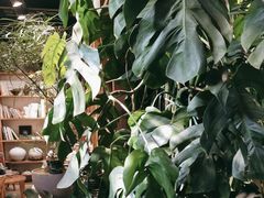 -自由生长植物工作室(深港花卉中心店)
