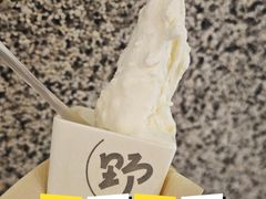 -野人先生Gelato(上海长宁龙之梦店)