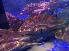 -盒马鲜生(大成店)