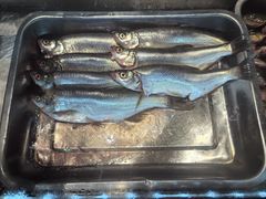 -巢湖名吃·东关老鹅汤(江南风情街店)