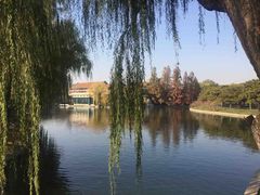 -钓鱼台国宾馆