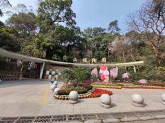 -南山植物园