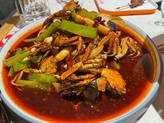 -杨氏青龙虾·羊蝎子(托乐嘉店)