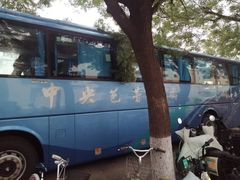 -北京大学百年讲堂