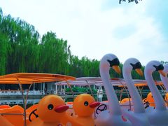 -丰台花园
