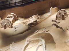 -洛阳周王城天子驾六博物馆