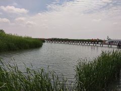 -苏州太湖湖滨国家湿地公园