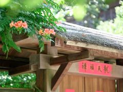 -龙华寺