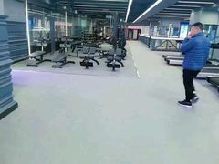 -金吉鸟健身游泳