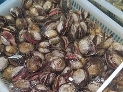 -和源祥·日照菜扛把子(万平口一店)