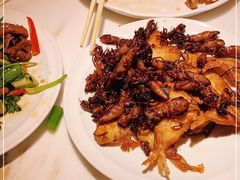 -日丰园海肠水饺·老字号大连海鲜(和平广场店)