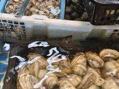 -争先鲜·蒸汽海鲜自助·鲜切牛肉