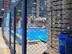 -威蒂斯国际健身游泳会所(东莞庄路店)